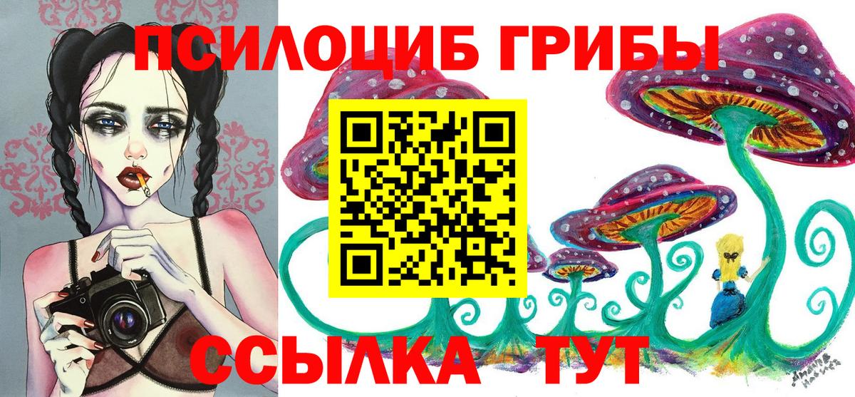 Псилоцибиновые грибы ЛСД  Галлюциногенные грибы ЛСД  Заинск  Вход с VPN 