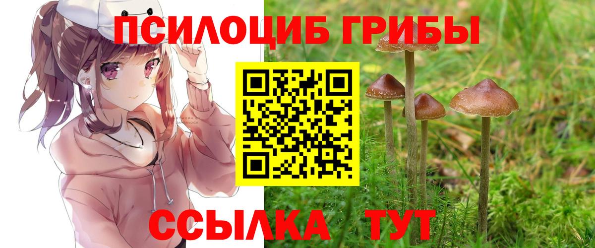 Псилоцибиновые грибы прущие грибы Заинск