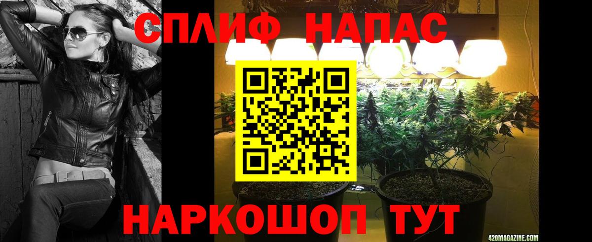 Канабис тримм  Вход с VPN  Заинск  Марихуана Bruce Banner  Каннабис THC 21% 